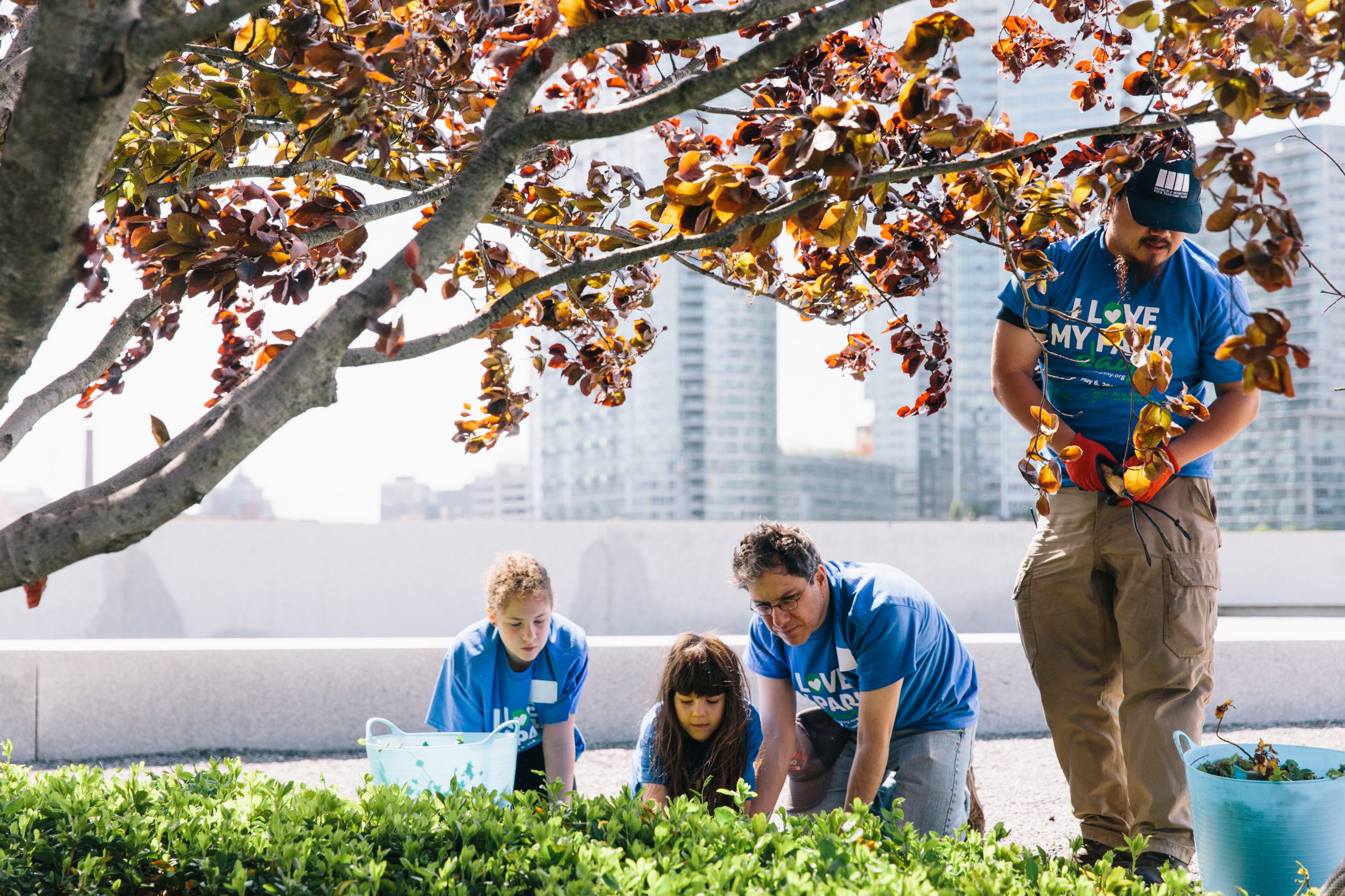 FDR Four Freedoms Park Conservancy